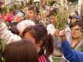 La procession 8